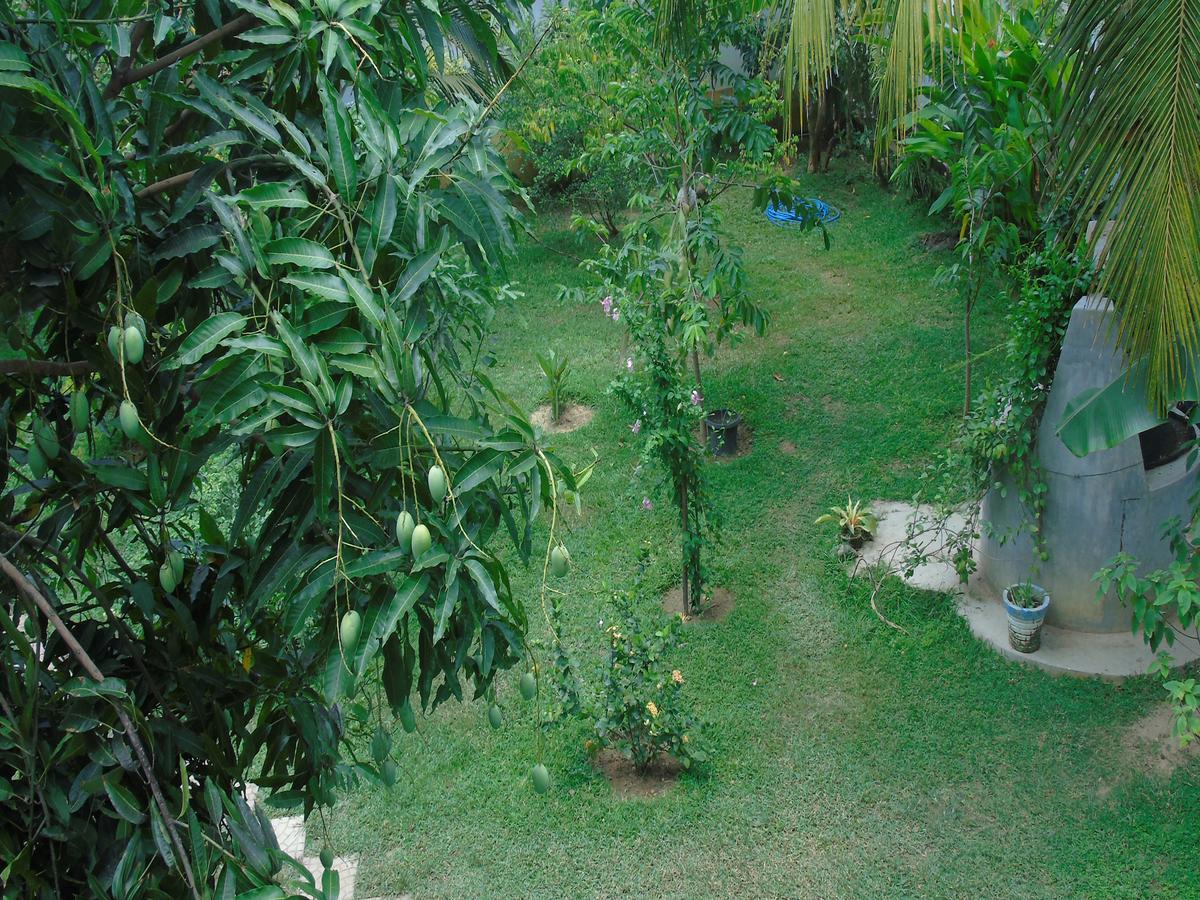 Secret Bay Hotel Matara Exterior foto